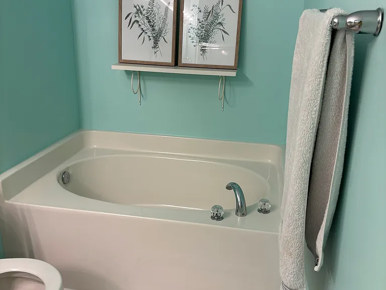 master bath tub