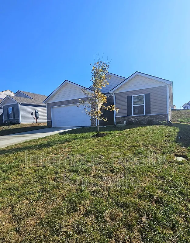 3 bed, 2.0 bath, 1343 sqft, $2,200 — Photo 2