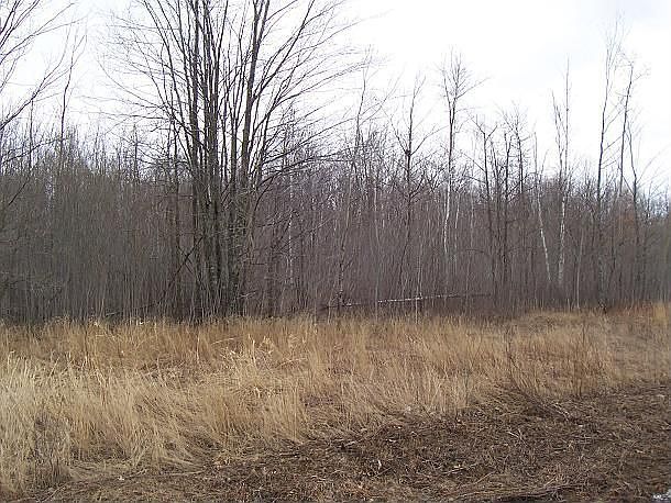 2nd image of 31870 370th St