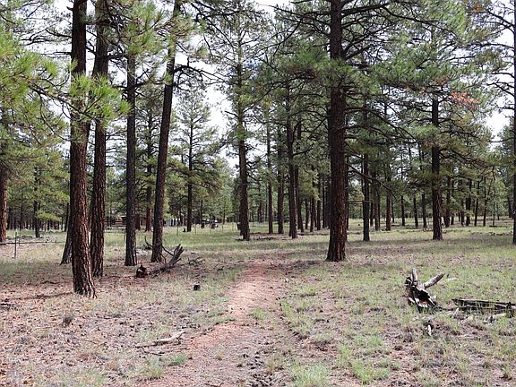 5th image of LOT 44 Rhyolite Rd Lot 44
