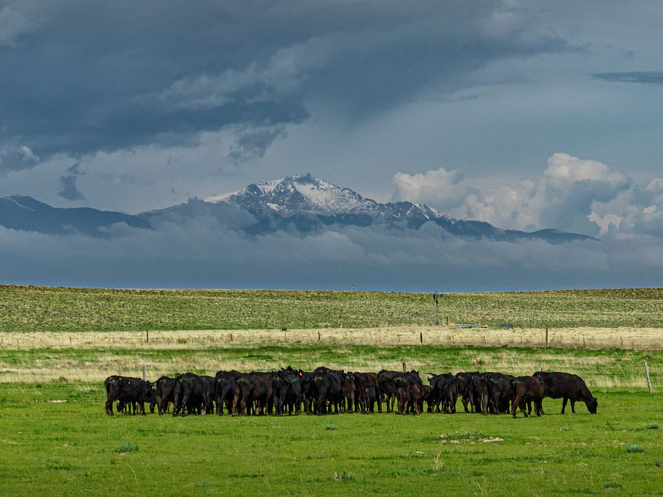 Squirrel Creek Rd, Colorado Springs, CO 80928 MLS 11189049 Zillow