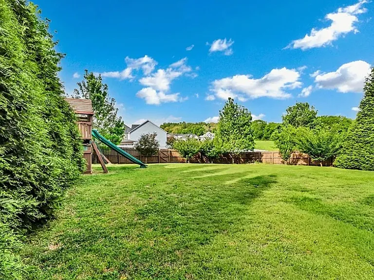425 Carson Bailey Ct — Photo 4