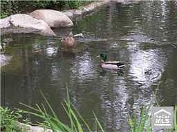 2nd image of 26701 Quail Crk APT 141