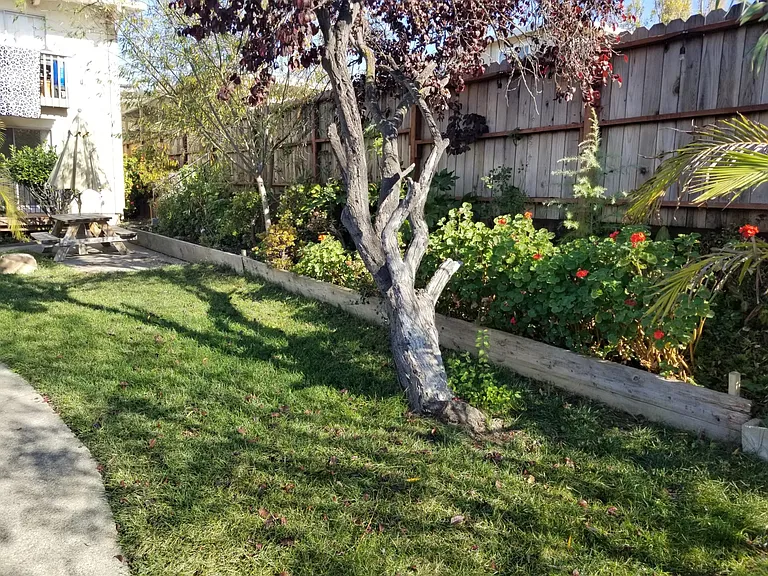 146 Maher Ct — Photo 8