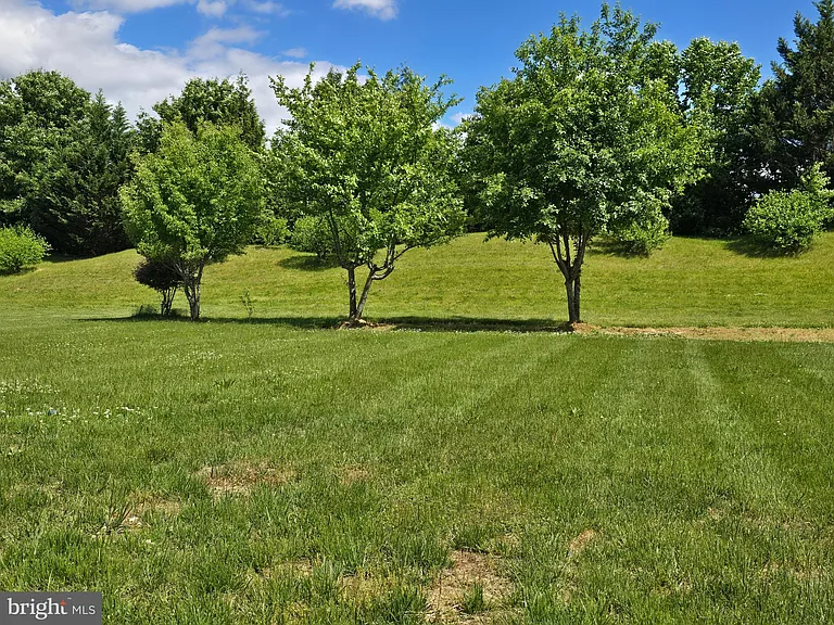 173 Heartleaf Ln — Photo 82