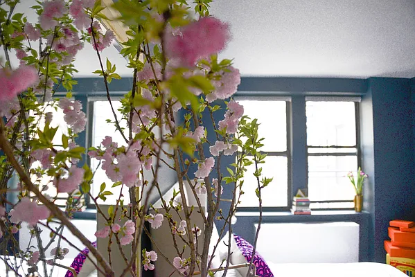 Rented by Compass | media 34