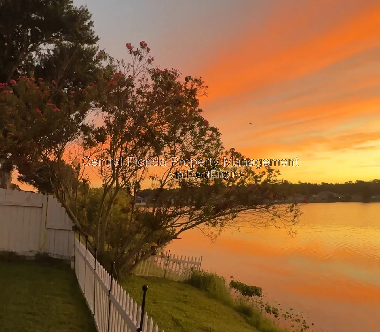3 bed, 2.0 bath, 1470 sqft, $2,250 — Photo 3