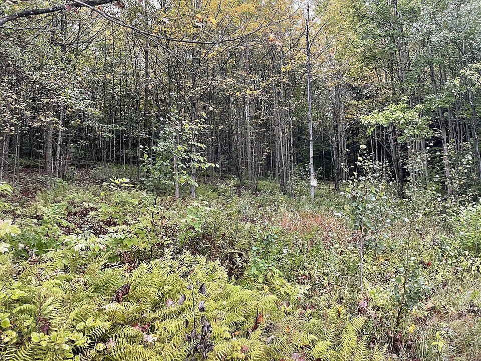 2nd image of 00 Black Falls Road