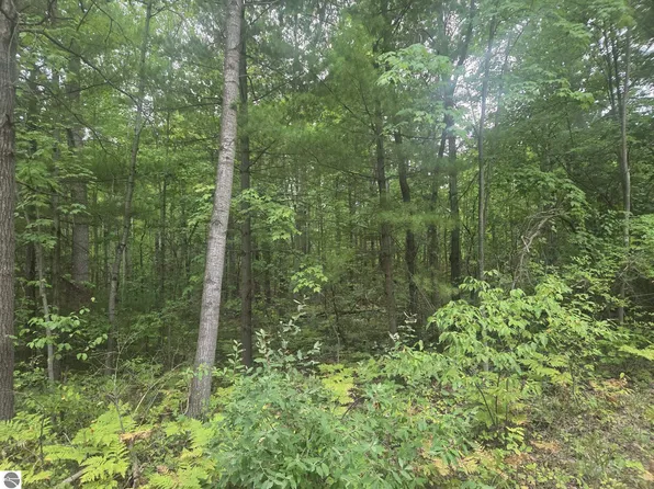 45th Ave, Barryton, MI 49305