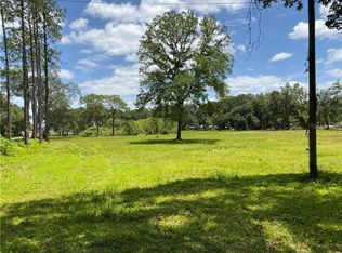 29848 New Dutch Ln, Wesley Chapel, FL 33545