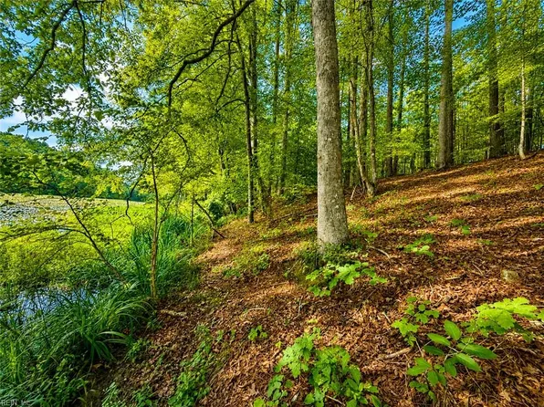 LOT 5 Birdsong Rd, Ebony, VA 23845