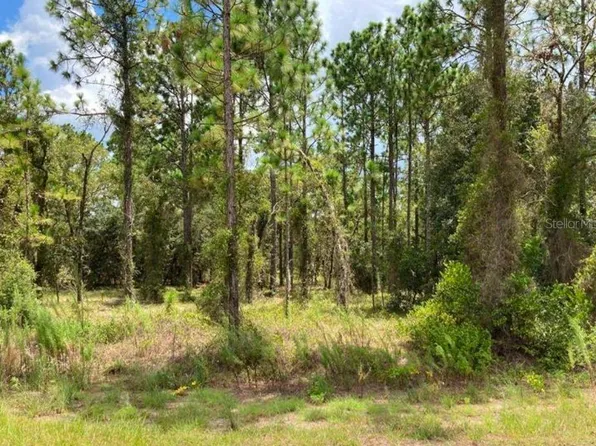 TBD SW NEPTUNE BOULEVARD LOT 2, DUNNELLON, FL 34431
