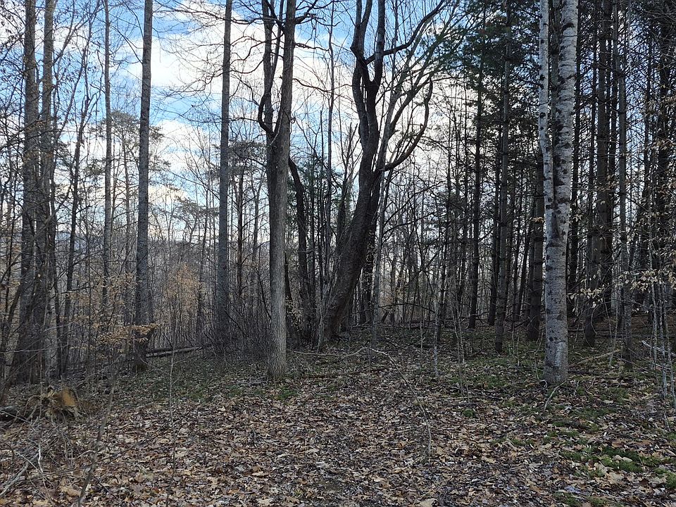 1st image of Knob Rd