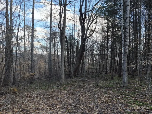 Knob Rd, Goshen, VA 24439