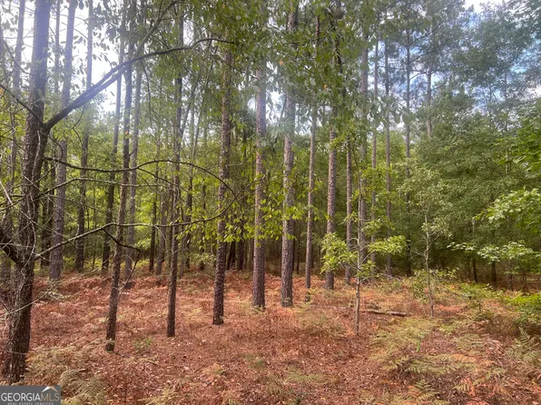 0 Scuffletown Rd, Twin City, GA 30471