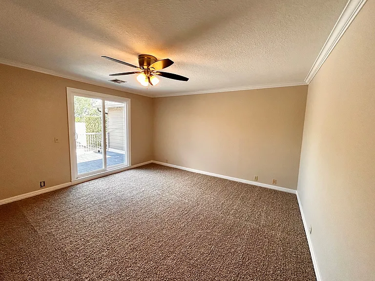 11902 Shady Trail Ln — Photo 11