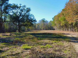 38965 Walker Rd N, Walker, LA 70785