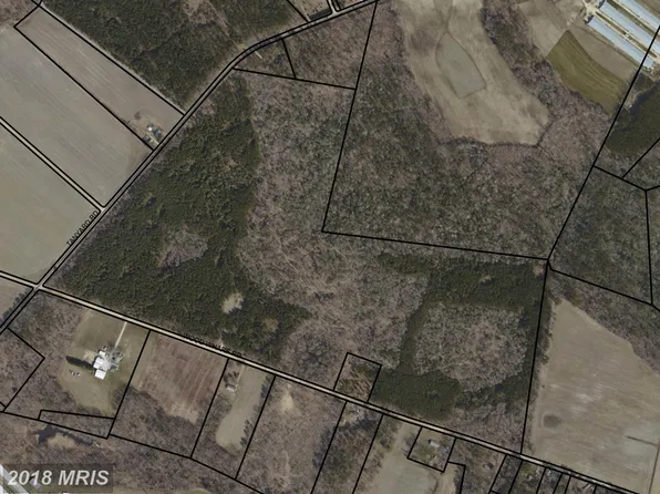 Tanyard Rd, Preston, MD 21655