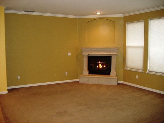 Gas Fireplace in Living Room