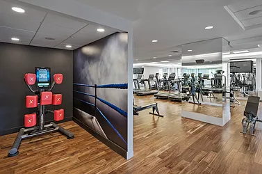 Rented by The Moinian Group