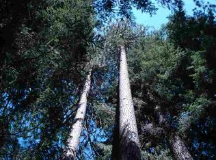 848 Old Meadow Valley Rd, Quincy, CA 95971