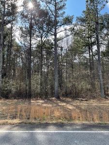 0 Turkey Creek Rd, Newnan, GA, 30263