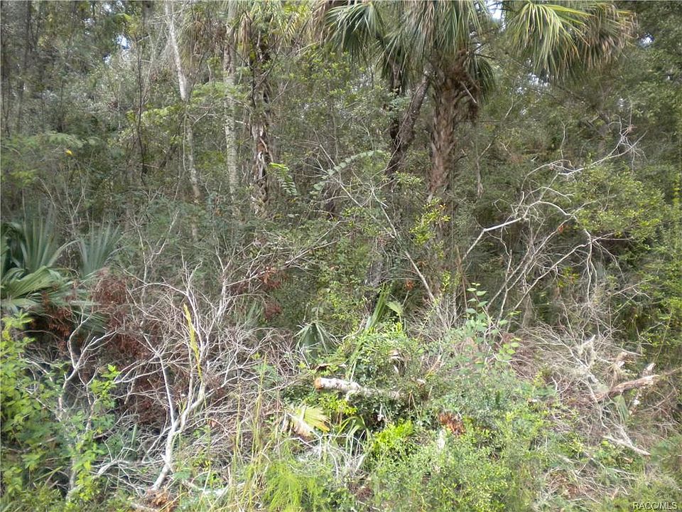 1st image of 5983 N Brookgreen Dr