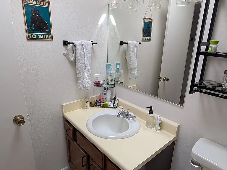 Guest bathroom