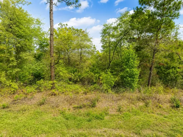 3075 W BEDFORD Lane, Dunnellon, FL 34433