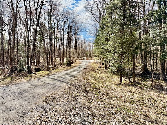 5th image of 2388 Doe Lake Rd