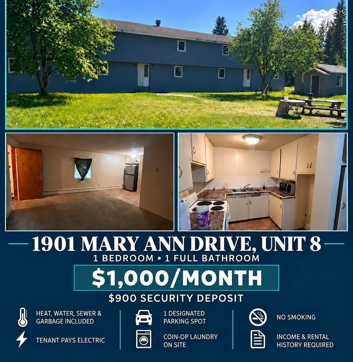 1 bed, $1,000 — Photo 1