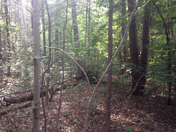 4th image of Shumate Ln