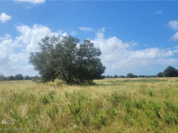 6119 Farmgirl Ave, Venus, FL 33960