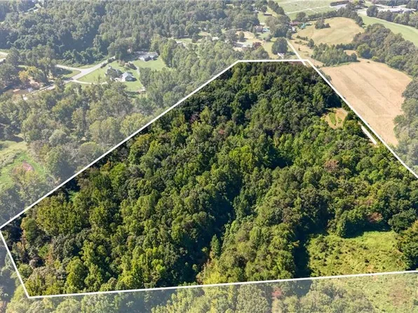 4419 Alamance Church Rd, Liberty, NC 27298