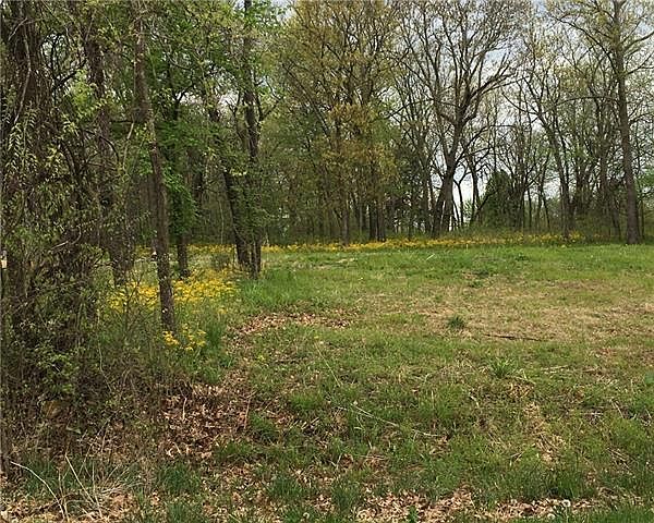2nd image of 101 Timber Valley Dr