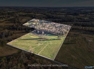 451 Johnson Rd, Albertville, AL 35951