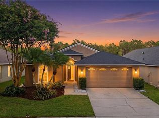 4510 New Dawn Ct, Lutz, FL 33558