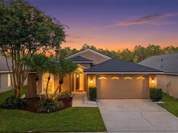 4510 New Dawn Ct, Lutz, FL 33558