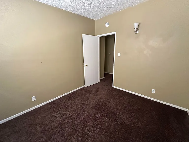 316 Palm Dr — Photo 6