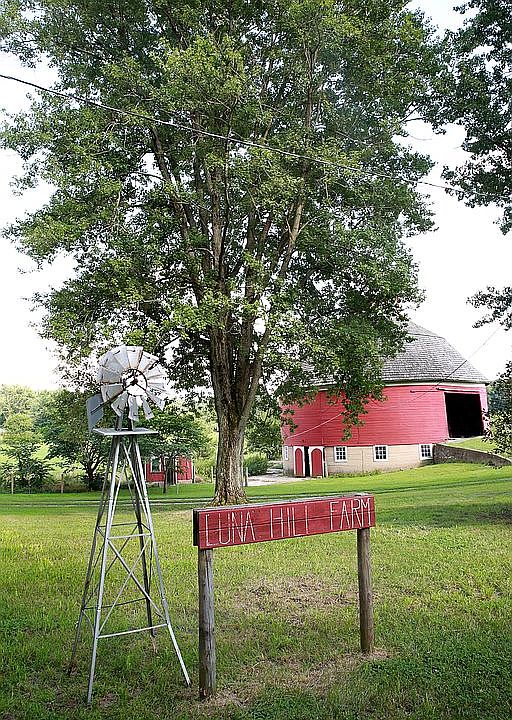 Luna Hill Farm