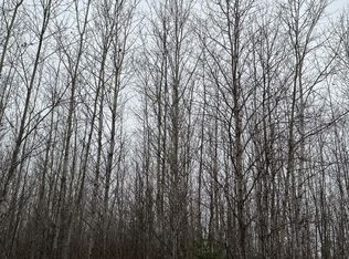 Burrows Lake Rd #4067, Tomahawk, WI 54487