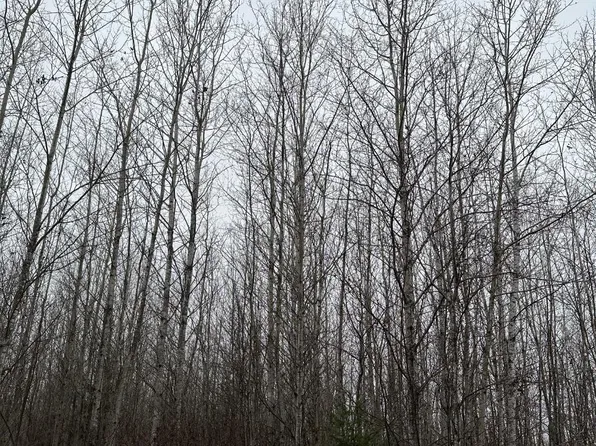 Burrows Lake Rd #4067, Tomahawk, WI 54487