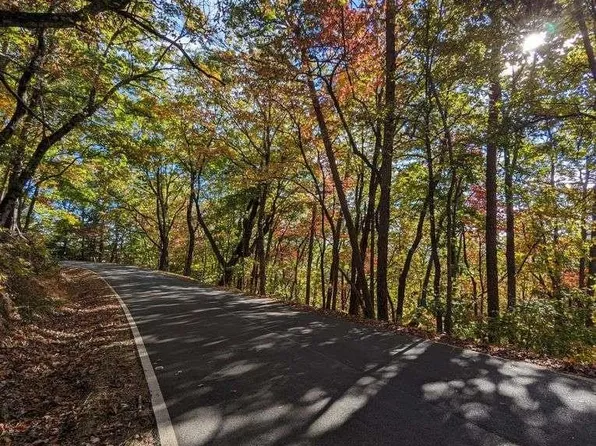 32 Wild Turkey Blf #3141, Jasper, GA 30143