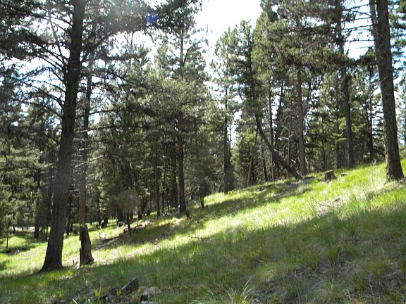 2nd image of LOT 65 Spring Creek Dr