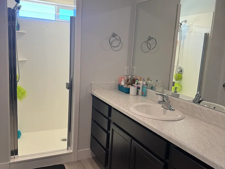 43 E Limber Pine Dr — Photo 3