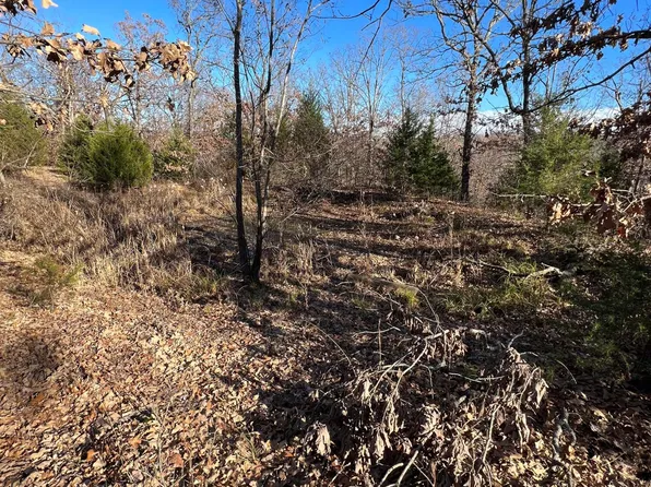 000 S 19+/- Acres Hwy 185, Sullivan, MO 63080