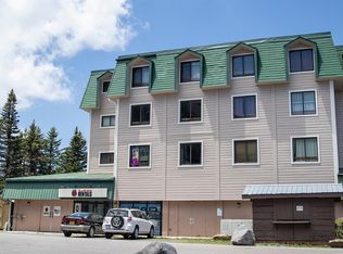 105 Top Of The World Dr, Snowshoe, WV 26209