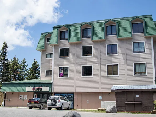 105 Top Of The World Dr, Snowshoe, WV 26209