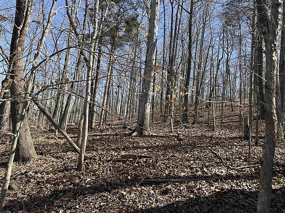 4th image of 0 Poplar Springs Rd