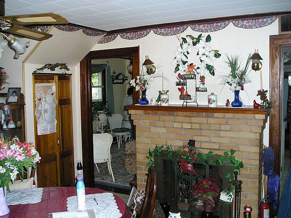 wood burning fireplace